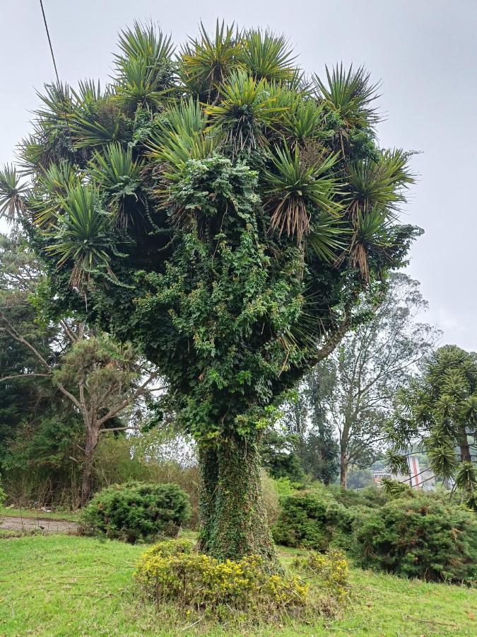 Natures Retreat Hotels And Resorts Ooty Bagian luar foto
